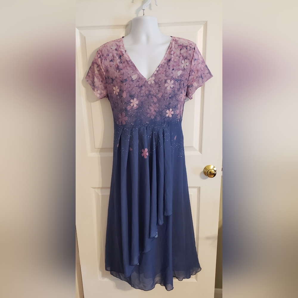 NWT Floral V-Neck Midi. Dress in Pink and Blue Size XL